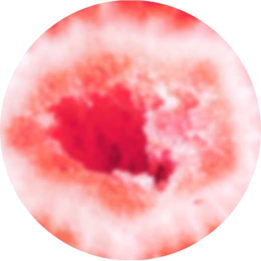 VEEV ONE Strawberry pod s e-tekućinom
